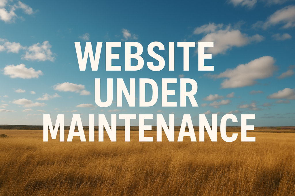 chatgpt image dec 8, 2025, 06 39 52 pm